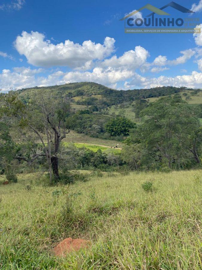 WhatsApp Image 2025-06-11 at 15.41.44.jpeg